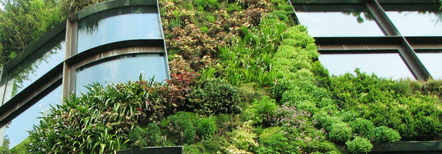 green-buildings